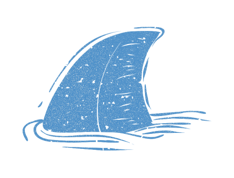 Shark fin illustration